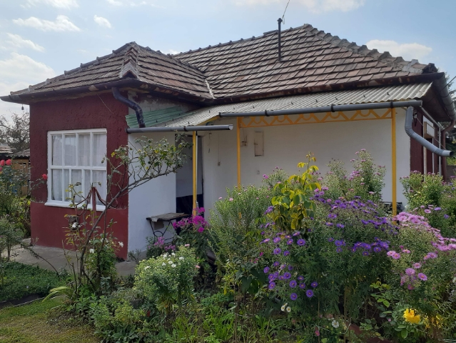 sk vorosmarty 6 01.jpg